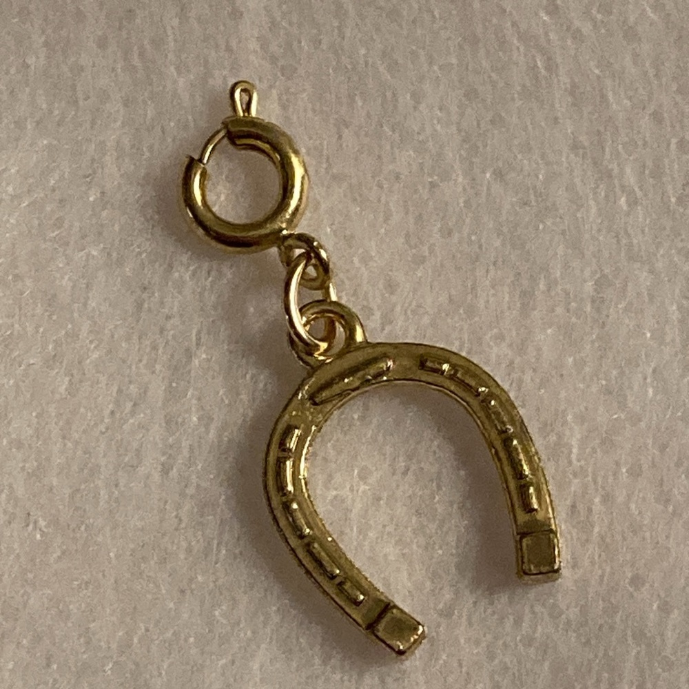 NWOT - Diamonds International Brassy Gold Tone Metal Hanging Horseshoe Charm